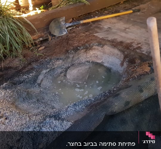 בור הביוב שהוצף